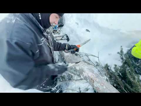 Grizzly Backcountry Folding Saw