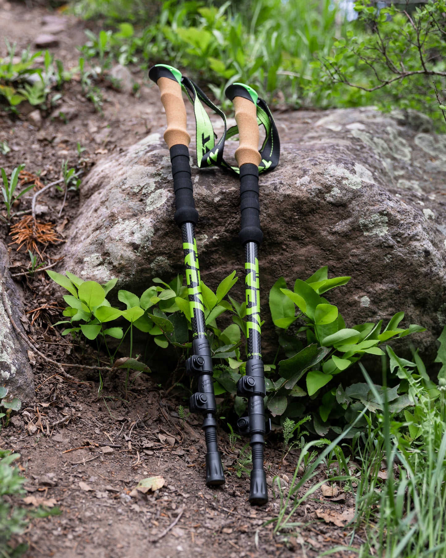 Treyl DuraLight Pro Trekking Poles